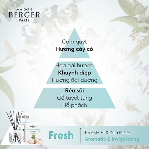 Tinh dầu khuếch tán hương Fresh Eucalyptus Maison Berger – ảnh 3
