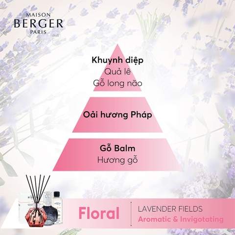 Tinh dầu đèn xông hương Lavender Fields Maison Berger – ảnh 3