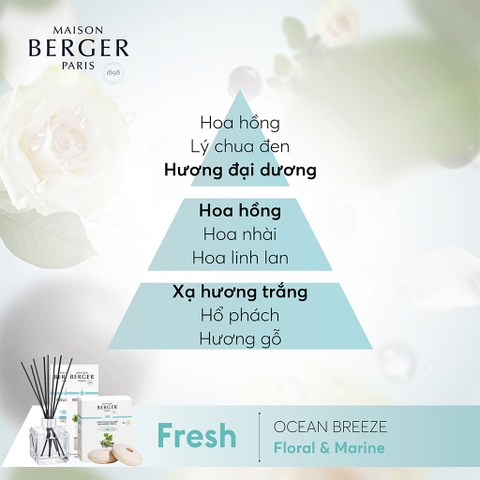 Tinh dầu khuếch tán hương Ocean Breeze Maison Berger – ảnh 2
