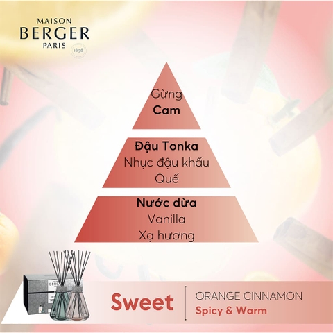 Bộ lọ tinh dầu khuếch tán Vintage Green Pyramide Maison Berger – ảnh 3