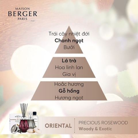 Tinh dầu đèn xông hương Precious Rosewood Maison Berger – ảnh 2