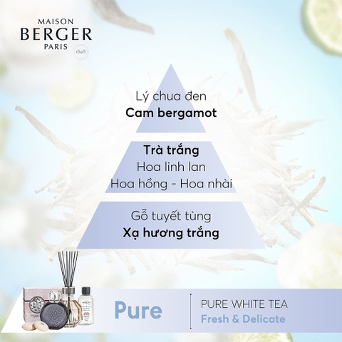 Tinh dầu khuếch tán hương Pure White Tea Maison Berger – ảnh 3