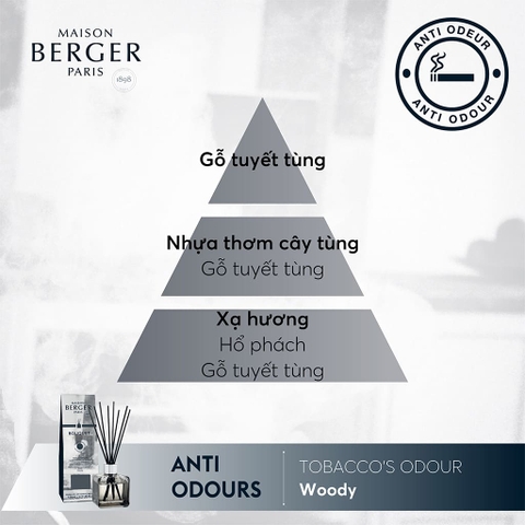 Lọ tinh dầu khuếch tán, khử mùi thuốc lá hương Woody Maison Berger – ảnh 3