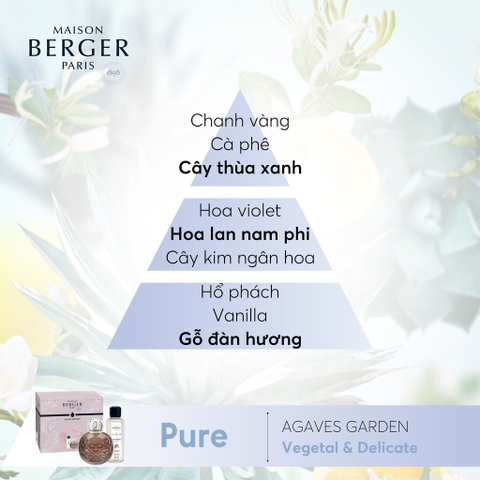 Bộ đèn xông tinh dầu Joy Maison Berger – ảnh 3