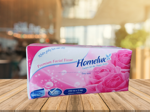Khăn giấy lụa 2 lớp, 250 tờ Homelux