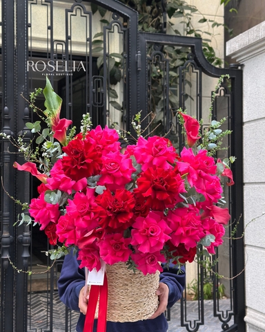 Brilliant Red