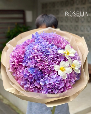 Whisper of Hydrangeas