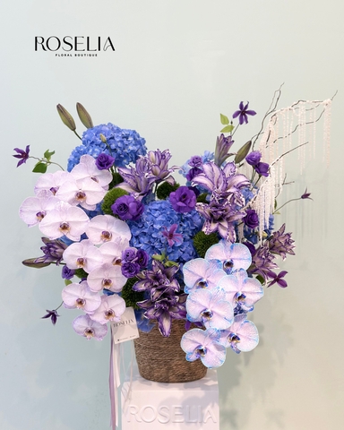 L'Empire Violet