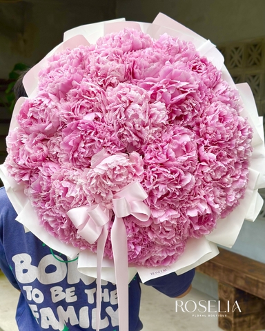 Belle Pivoine