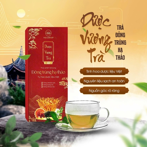 Dược Vương Trà – Trà Đông Trùng Hạ Thảo VQC H/24 túi lọc