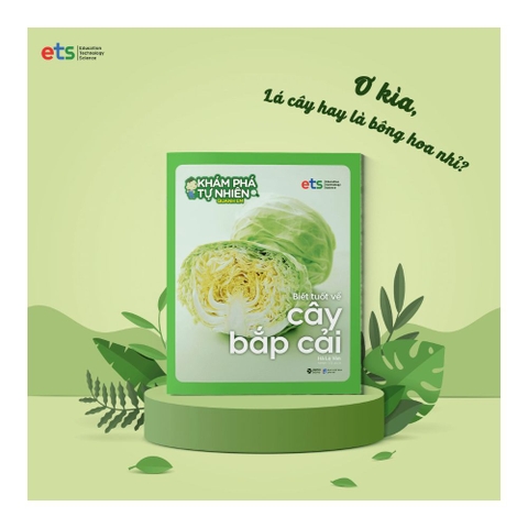 Bộ khám phá tự nhiên quanh em: Biết tuốt về cây Cải Bắp