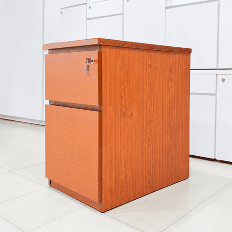 Tu-thap-2-ngan-keo-go-500x680x750mm-TU009