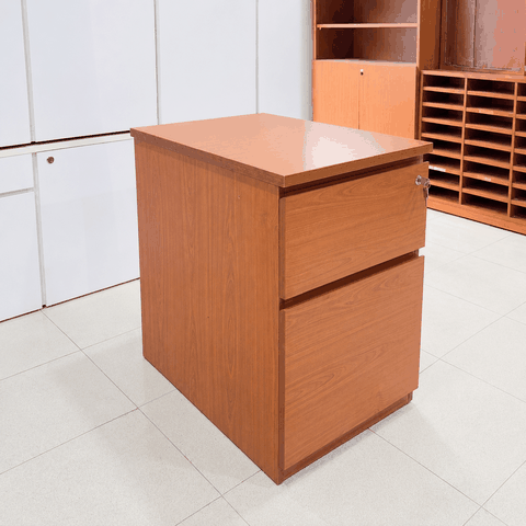Tu-thap-2-ngan-keo-go-500x680x750mm-TU009