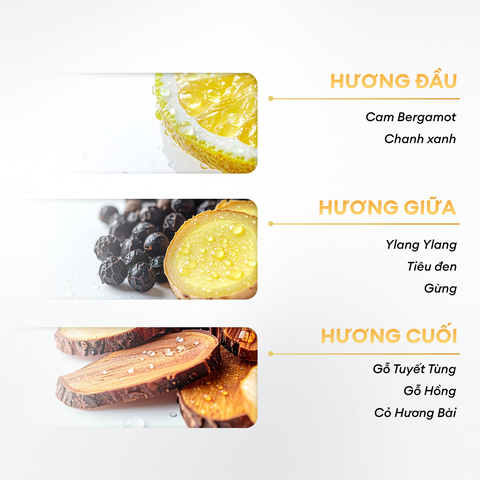 Sữa tắm sạch khuẩn, khử mùi công nghệ Ion Bạc hương tinh dầu thiên nhiên