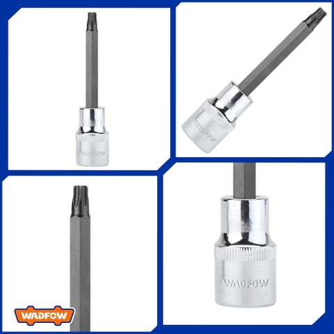 Đầu tuýp 1/2 ra vít bông sao
