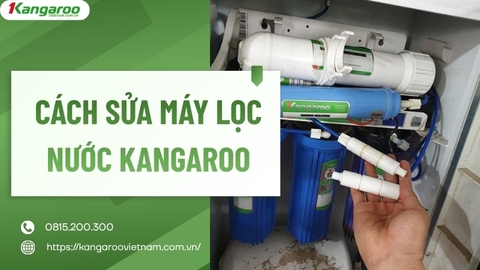 Cách Sửa Máy Lọc Nước Kangaroo: 8 Lỗi Thường Gặp Và Cách Khắc Phục