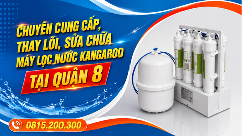 Chuyên cung cấp, thay lõi, sửa chữa máy lọc nước kangaroo tại quận 8