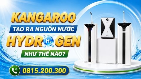 Kangaroo Tạo Ra Nguồn Nước Hydrogen Như Thế Nào?