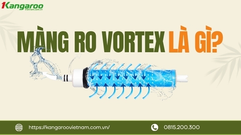 Màng RO Vortex Là Gì? Khác Gì Màng RO Thông Thường Trên Máy Kangaroo?