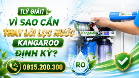 [Lý giải] vì sao cần thay lõi lọc nước kangaroo định kỳ?