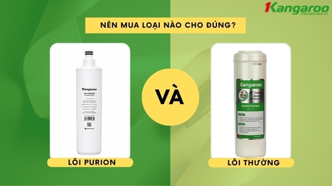 So Sánh Lõi Purion Và Lõi 123 Kangaroo: Khác Gì, Nên Dùng Loại Nào?