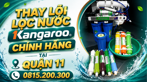 Thay lõi lọc nước Kangaroo chính hãng tại Quận 11