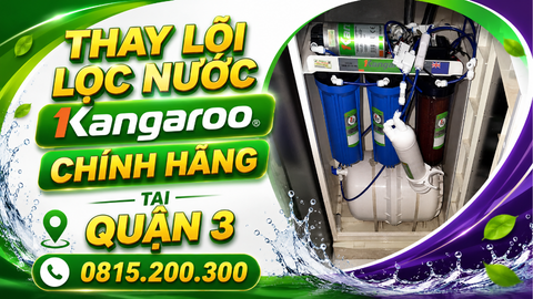 Thay lõi lọc nước Kangaroo chính hãng tại Quận 3