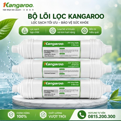 Bộ Lõi 123 Đúc Máy Lọc Nước Kangaroo
