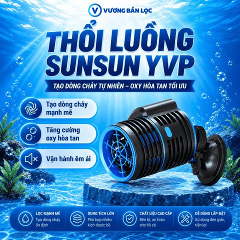 Máy thổi luồng SUNSUN YVP - Thổi luồng, tạo sóng bể cá cảnh - Máy đơn