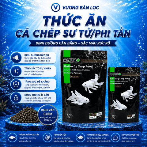 Cám tăng trưởng Aqua+ cho cá chép sư tử, chép phi tần, cám chìm dễ ăn, thơm ngậy