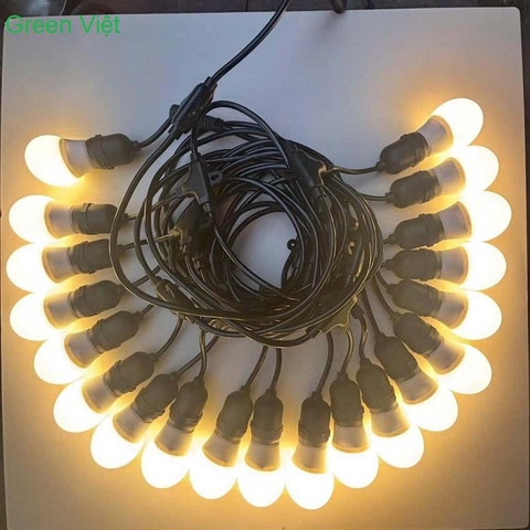 Dây led quả nhót 10m 20 bóng QN02 trang trí quán cà phê, quán trà chanh và nhà hàng