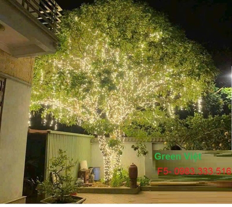 Dây led trang trí ngoài trời F5 LF07 màu vàng nắng