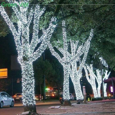 Dây led Trang Trí Cây Chống Nước DLN05 F5