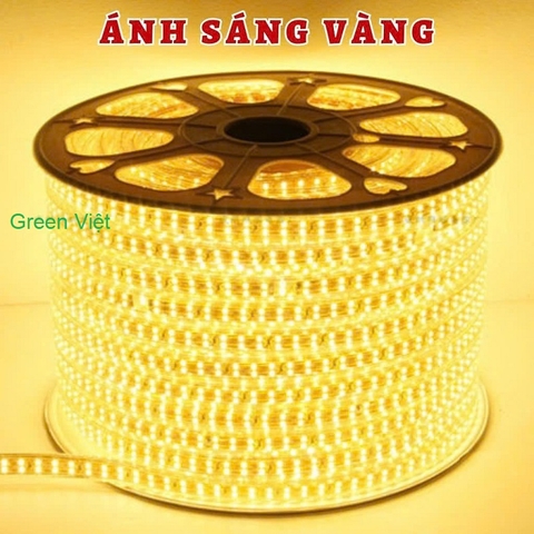 Dây led trang trí và quán cây LDC02 Led 2 Hàng