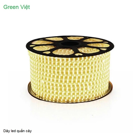 Dây led trang trí và quán cây LDC02 Led 2 Hàng