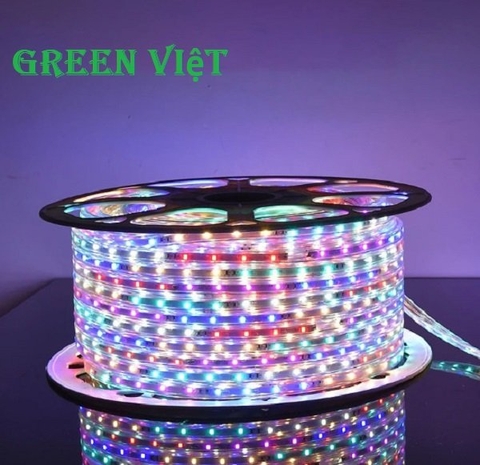 Cuộn led trang trí dây đôi 2835 - 5730 - 100m (2 hàng led đôi)