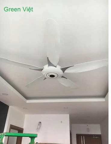 Quạt trần Panasonic F.60WWK