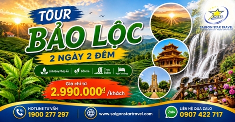 Tour Bảo Lộc 2 Ngày 2 Đêm Từ TpHCM Cho Nhóm Đi Riêng | Nghỉ Dưỡng Tea Resort