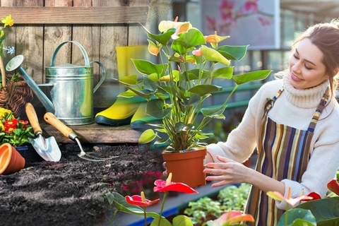 Chăm sóc khu vườn tại nhà với những dụng cụ cần thiết