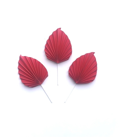 SET CẮM QUẠT LÁ ĐỎ