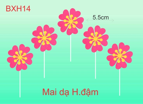 SET CẮM MAI DẠ HỒNG ĐẬM
