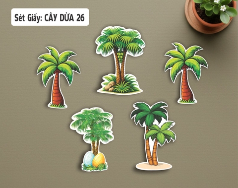 SET CẮM GIẤY CÂY DỪA 26