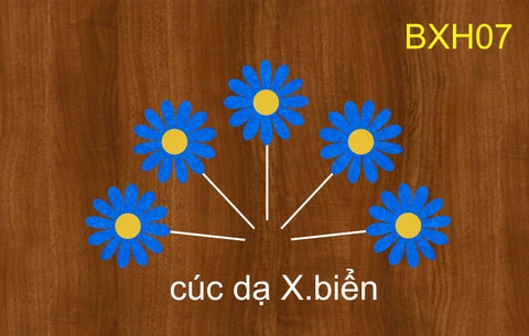 SET CẮM CÚC DẠ XANH ĐẬM