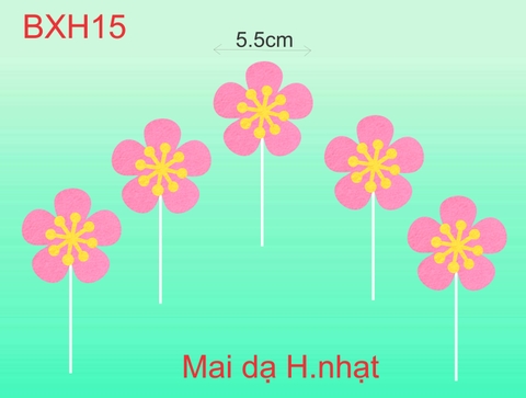 SET CẮM MAI DẠ HỒNG NHẠT