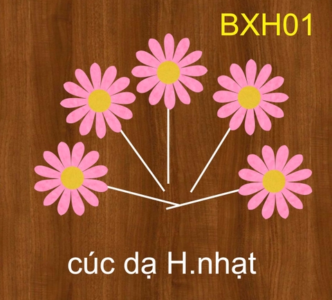 SET CẮM CÚC DẠ HỒNG NHẠT