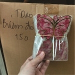 SET GIẤY BƯỚM ĐỎ