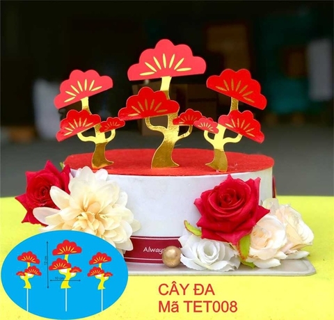 SET CÂY ĐA BÓNG