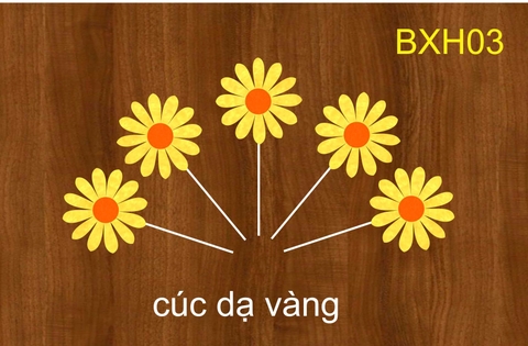 SET CẮM CÚC DẠ VÀNG