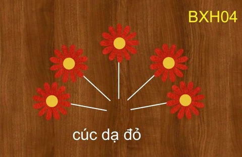 SET CẮM CÚC DẠ ĐỎ