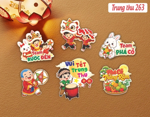 SET TRUNG THU 263